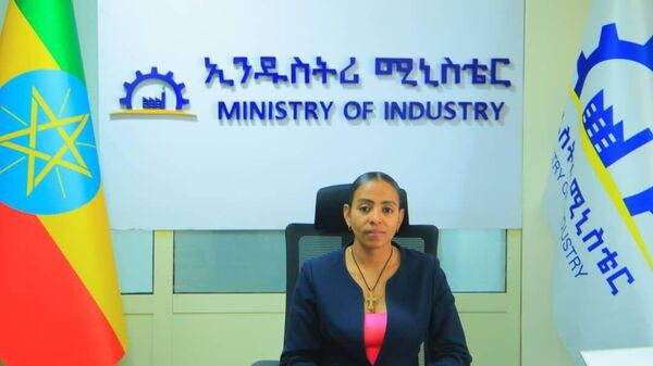 ኢትዮጵያ በሀገር ውስጥ ከተመረቱ የኢንዱስትሪ ውጤቶች የወጪ ንግድ 318 - Sputnik አፍሪካ
