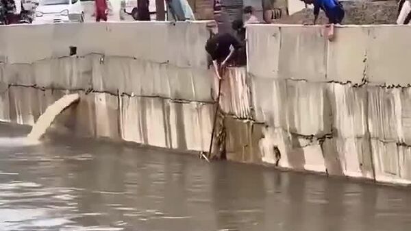 #viral | አንድ ግለሰብ በጎርፍ በተጥለቀለቀችው የፓኪስታን ከተማ፣ ሞልቶ በነበረ ወንዝ ስትወሰድ የነበረች ድመት ሲታደግ ታይቷል - Sputnik አፍሪካ