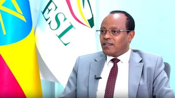 የኢትዮጵያ የባሕር ትራንስፖርትና ሎጅስቲክስ ድርጅት ወደ ባቡር ዘርፍ ሊገባ ነው - Sputnik አፍሪካ