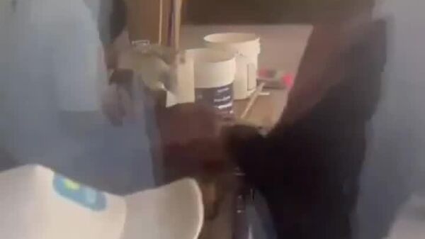 #viral | በሰሜን ሜክሲኮ የእግር ጉዞን ያስተጓጎለው የተራበ እንግዳ - Sputnik አፍሪካ