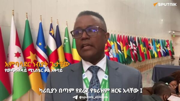 ኢትዮጵያ በቱሪዝም ላይ ከካሪቢያን አገራት ጋር በቅርበት ትሠራለች - የውጭ ጉዳይ ሚኒስቴር ቃል አቀባይ - Sputnik አፍሪካ