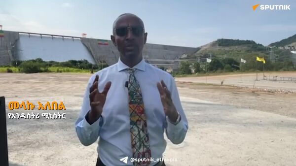 ሕዳሴ ግድብ በራስ አቅም ከኢኮኖሚ ባርነት ነፃ መውጣት የመቻል ትዕምርት ነው ሲሉ የኢንዱስትሪ ሚኒስትሩ ተናገሩ - Sputnik አፍሪካ