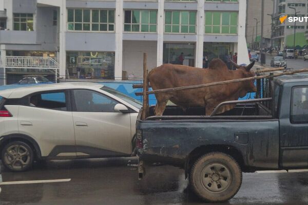 አዲስ አበባ እንቁጣጣሽን ለመቀበል ሽር ጉድ እያለች ነው - Sputnik አፍሪካ