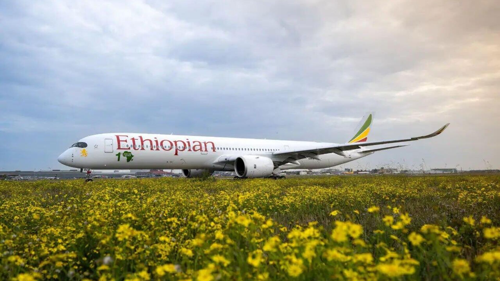 በአፍሪካ ግዙፉን አውሮፕላን ማረፊያ እ በአፍሪካ ግዙፉን አውሮፕላን ማረፊያ እ - Sputnik አፍሪካ, 1920, 12.09.2025