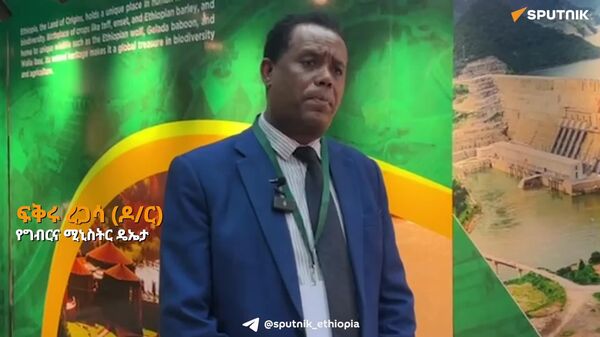 በገበያ ተኮር ግብርና የመጀመሪያው ምዕራፍ የተገኙ ውጤቶችን ለማላቅ እየሠራን ነው - የግብርና ሚኒስቴር - Sputnik አፍሪካ