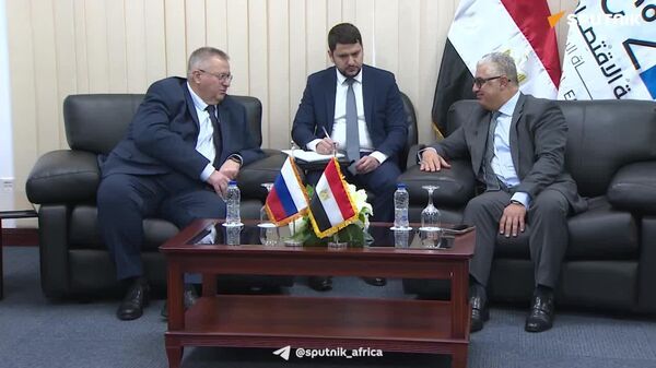 በግብጽ ስዊዝ ካናል አቅራቢያ በሩሲያ የኢንዱስትሪ ዞን የሚገኙ ኩባንያዎች ከ2030 በፊት ሥራ ሊጀምሩ ይችላሉ ተባለ - Sputnik አፍሪካ