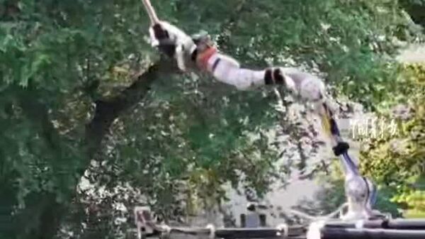 #viral | መሰላልን ጡረታ ያስወጣው የድሮን ቴክኖሎጂ፤ ቻይናውያን ተማሪዎች የመንገድ መብራትን የሚያፀዳ ድሮን አስተዋዉቀዋል - Sputnik አፍሪካ