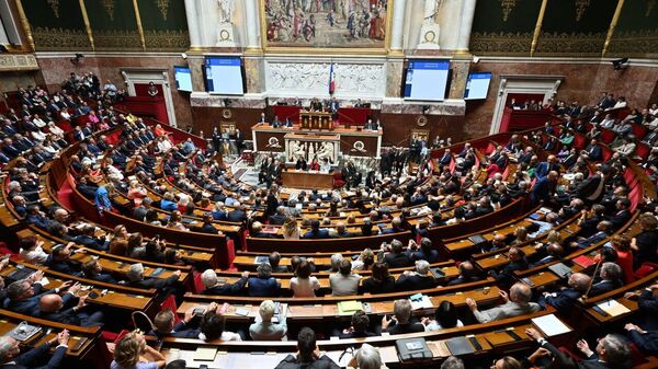 የኮንዶም ውዝግብ፤ ከተንኳሽ ግለሰብ ኮንዶም የተላከላቸው የፈረንሳይ እንደራሴዎች - Sputnik አፍሪካ