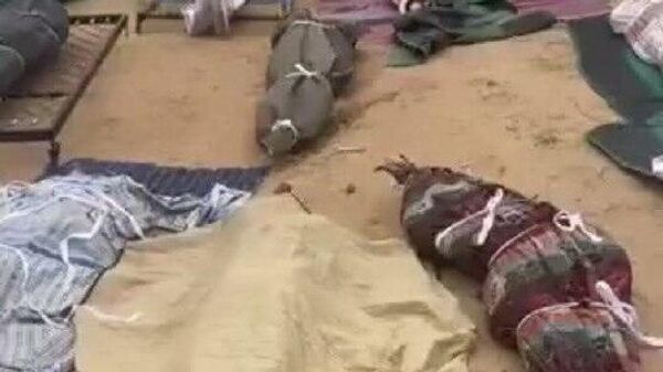 የሱዳን ፈጥኖ ደራሽ ኃይል አማፅያን መስጂድ ላይ ባነጣጠረ የድሮን ጥቃት፤ በርካቶችን እንደገደሉ የህክምና ቡድን አስታወቀ - Sputnik አፍሪካ