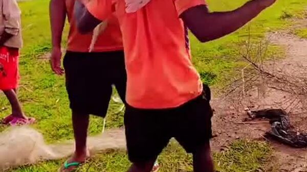 #viral | በአርባምንጭ የተያዘው ለቅርጫ የሚበቃ ግዙፍ ዓሣ - Sputnik አፍሪካ