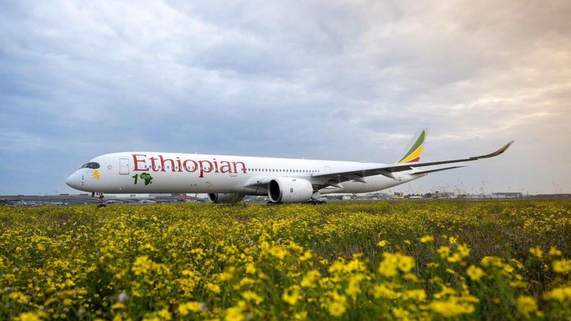 'ከ10 ዓመታት በኋላ ገቢያችንን 25 ቢሊዮን ዶላር ይደርሳል' - የኢትዮጵያ አየር መንገድ ዋና ሥራ አስፈፃሚ 'ከ10 ዓመታት በኋላ ገቢያችንን 25 ቢሊዮን ዶላር ይደርሳል' - የኢትዮጵያ አየር መንገድ ዋና ሥራ አስፈፃሚ - Sputnik አፍሪካ, 1920, 23.09.2025