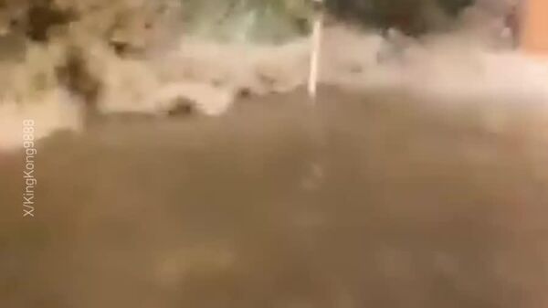 #viral | ኃይለኛ የውሃ ወጀብ በሆንግ ኮንግ የሚገኙ የሆቴልና ሬስቶራንት የመስታወት በሮችን ሰባበረ - Sputnik አፍሪካ