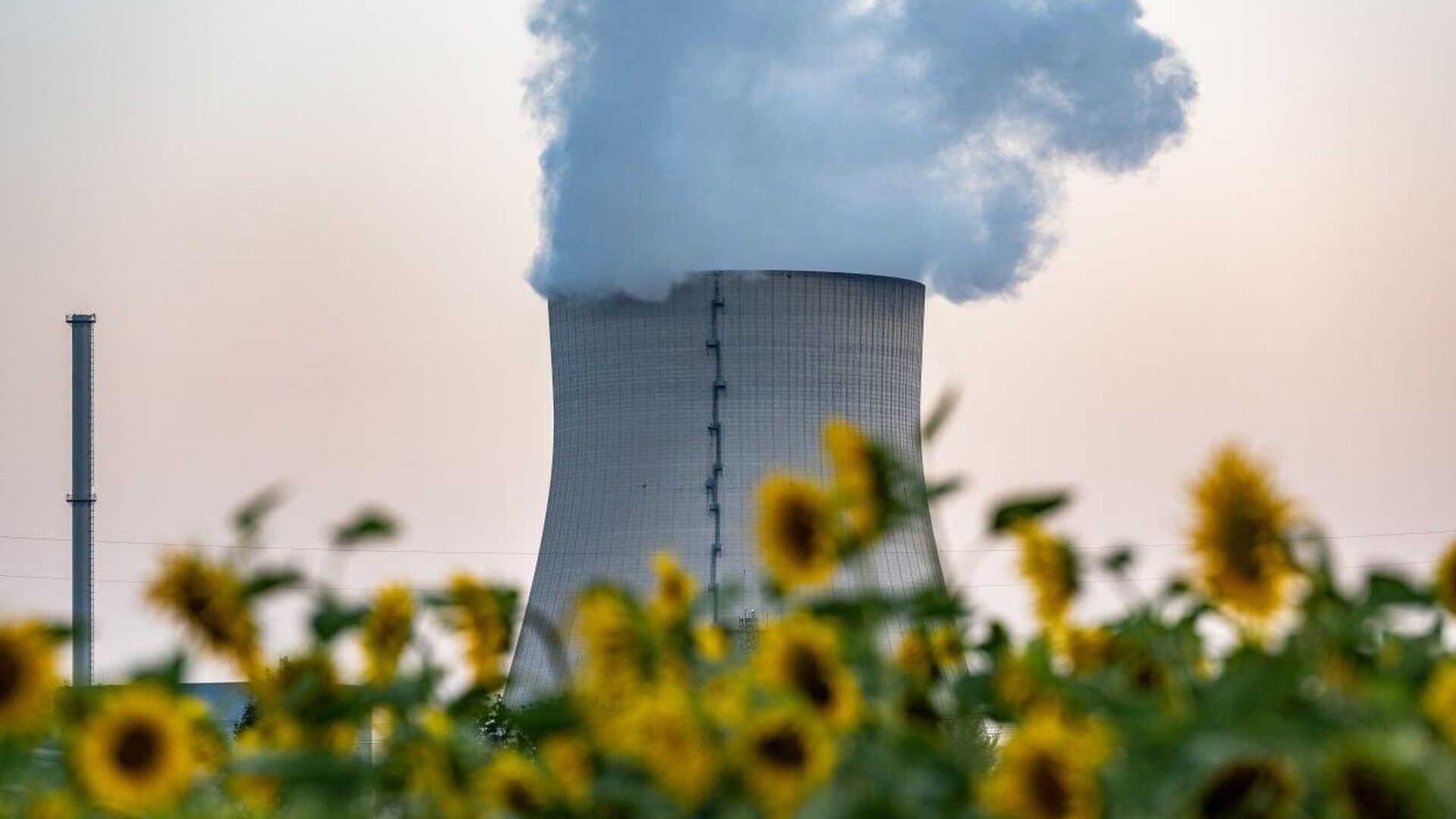 በአፍሪካ በርካታ ዕድሎች አሉ - የዓለም የኒውክሌር ማኅበር በአፍሪካ በርካታ ዕድሎች አሉ - የዓለም የኒውክሌር ማኅበር - Sputnik አፍሪካ, 1920, 28.09.2025