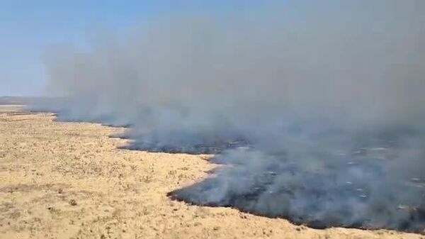 ናሚቢያ በሀገሪቱ የተነሳውን የእሳት ቃጠሎ ለመዋጋት 500 ወታደሮችን አሰማራች - Sputnik አፍሪካ