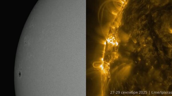 #viral | የፀሐይ 'የገና ዛፍ' ተቀጣጠለ፦ ይህ ከፍተኛ የፀሐይ እንቅስቃሴ የጠፈር የአየር ሁኔታ ማስጠንቀቂያ አስከትሏል - Sputnik አፍሪካ