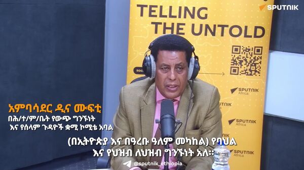 በዓረቡ ዓለም ተደማጭነትን ለማሳደግ የዓረብ ሊግ አባልነት የላቀ አስተዋፅኦ አለው - አምባሳደር ዲና ሙፍቲ - Sputnik አፍሪካ