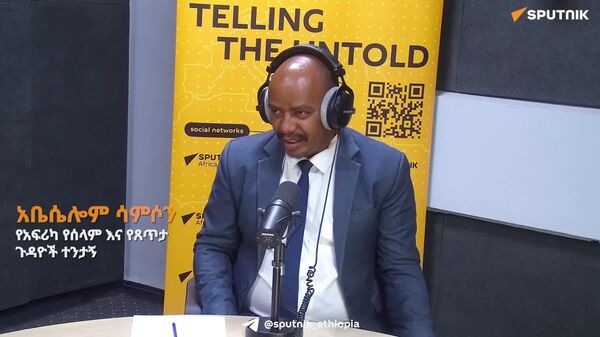 ለአፍሪካ ችግሮች አፍሪካዊ መፍትሔ በመስጠት ብዙ ፀፀቶችን ማስቀረት ይቻል ነበር - የሰላም እና የጸጥታ ጉዳዮች ተንታኝ - Sputnik አፍሪካ