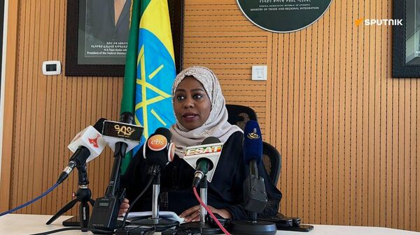 ኢትዮጵያ በአፍሪካ ነጻ የንግድ ቀጣና ለመሳተፍ ቁልፍ የቀረጥ ምጣኔ ማሻሻያ ማድረጓን አስታወቀች - Sputnik አፍሪካ