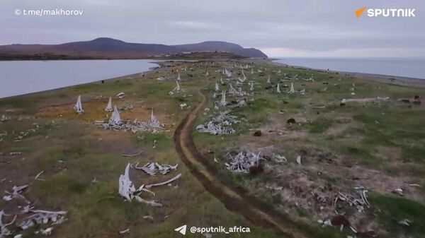 #viral | የግዙፋኑ አጽሞች፤ ከዓለማችን ታላላቅ የዓሣ ነባሪ መቃብሮች አንዱን ሲቃኝ - Sputnik አፍሪካ