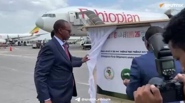 ኢትዮጵያ በአፍሪካ አኅጉራዊ ነጻ ንግድ ቀጣና በይፋ መገበያየት ጀመረች - Sputnik አፍሪካ