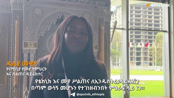 ለአኅጉሪቱ የኢንዱስትሪ ልማት ጉዞ የቴክኒክ እና ሙያ ሥልጠናን ማስፋት ቁልፍ ጉዳይ ነው - የዘርፉ ምሑር - Sputnik አፍሪካ