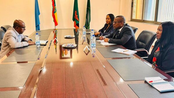 ዛምቢያ በማር ኢንዱስትሪ ዘርፍ ከኢትዮጵያ ጋር በትብብር መሥራት እንደምትሻ ገለፀች - Sputnik አፍሪካ