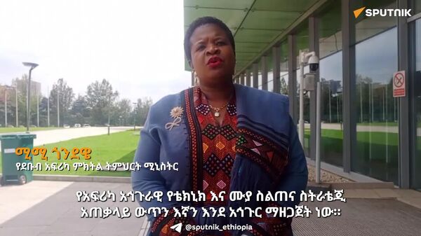 የአፍሪካ ወጣቶችን መጪው ዘመን ለሚጠይቀው ክህሎት ማዘጋጀት ይገባል - የደቡብ አፍሪካ ምክትል ትምህርት ሚኒስትር - Sputnik አፍሪካ