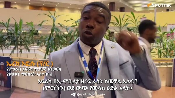 ከአፍሪካ በተላከ ጥሬ ዕቃ የሚሠራ የመኪና ባትሪን መልሶ ከመግዛት አዙሪት መውጣት አለብን - ባለሙያ - Sputnik አፍሪካ