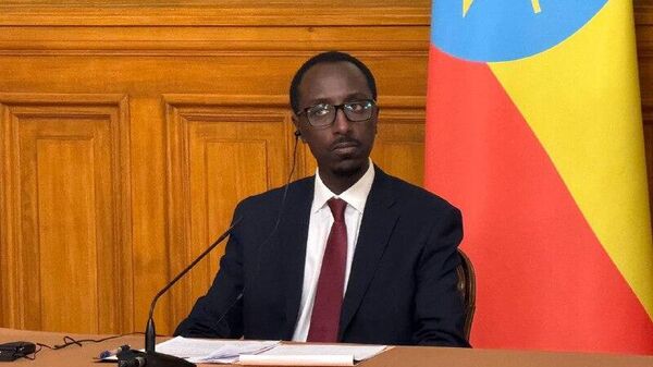 ኢትዮጵያ ከሩሲያ ጋር የተፈረመው የኒውክሌር ኃይል ማመንጫ ግንባታ ስምምነት በቀጣናው ቀዳሚ የኃይል አቅራቢነቷን እንደሚያጠናክር ተስፋ ታደርጋለች - ጌዲዮን ጢሞቲዮስ ለስፑትኒክ አፍሪካ - Sputnik አፍሪካ