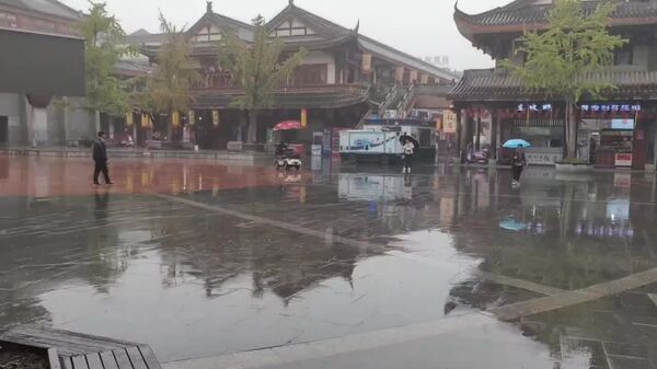 #viral|‍ አሽከርካሪው ውሻ - Sputnik አፍሪካ