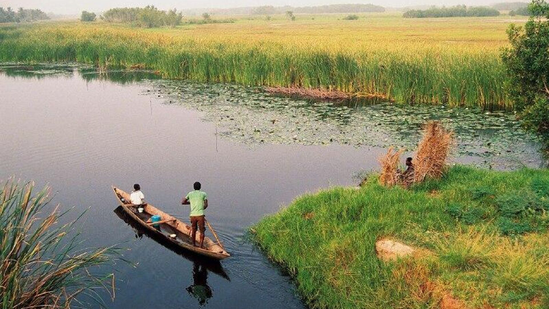 ጋና በመላ አገሪቱ የሚገኙ የውሃ አካላትን ለመደገፍ 300 ማዕድን ማውጫ ፈቃዶችን ሰረዘች ጋና በመላ አገሪቱ የሚገኙ የውሃ አካላትን ለመደገፍ 300 ማዕድን ማውጫ ፈቃዶችን ሰረዘች - Sputnik አፍሪካ, 1920, 24.10.2025