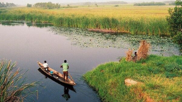 ጋና በመላ አገሪቱ የሚገኙ የውሃ አካላትን ለመደገፍ 300 ማዕድን ማውጫ ፈቃዶችን ሰረዘች - Sputnik አፍሪካ