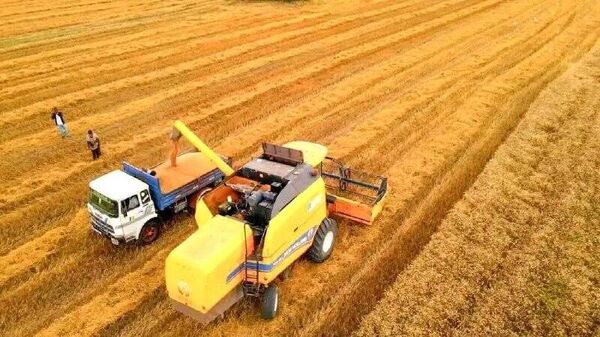 የኢትዮጵያ የግብርና ምርት በ2017 የምርት ዓመት 1 - Sputnik አፍሪካ