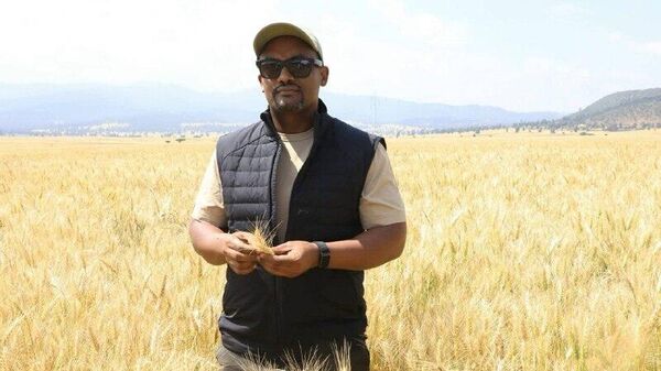 በዘንድሮ የመኸር ወቅት 177 ሚሊዮን ኩንታል የስንዴ ምርት ይጠበቃል - የግብርና ሚኒስትር - Sputnik አፍሪካ