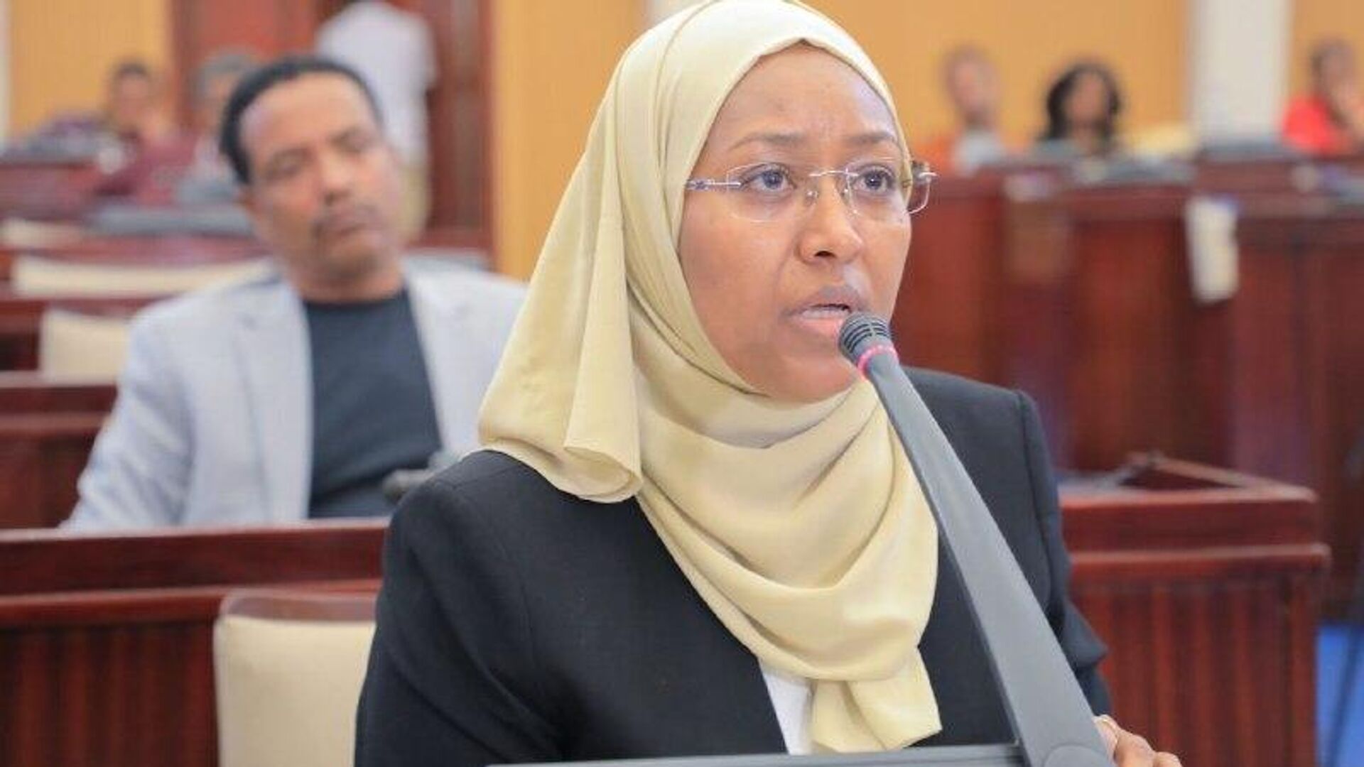 ኢትዮጵያ በመጀመሪያው ሩብ ዓመት 13 ሺህ 443 የሳይበር ጥቃቶች እና የጥቃት ሙከራዎች ማስተናገዷ ተገለፀ ኢትዮጵያ በመጀመሪያው ሩብ ዓመት 13 ሺህ 443 የሳይበር ጥቃቶች እና የጥቃት ሙከራዎች ማስተናገዷ ተገለፀ - Sputnik አፍሪካ, 1920, 28.10.2025