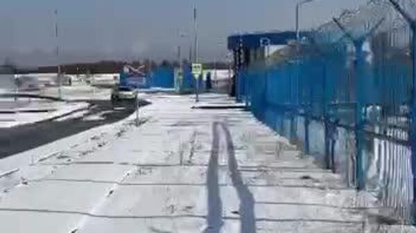 #viral| አጥር ያልበገረው የሩሲያ ድብ - Sputnik አፍሪካ