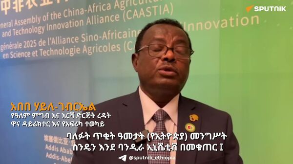 ኢትዮጵያ የስንዴ ምርቷን ይበልጥ በማሳደግ ከአፍሪካ ሰፊ ገበያ መጠቀም ትችላለች - የዓለም ምግብ እና እርሻ ድርጅት - Sputnik አፍሪካ