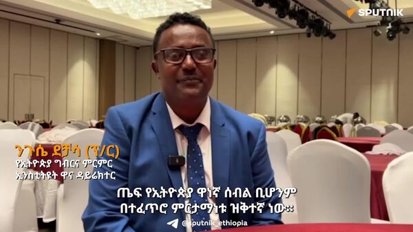 አዳዲስ ዝርያዎችን በመጠቀም የጤፍ ምርትን በእጥፍ ማሳደግ ተችሏል - የኢትዮጵያ ግብርና ምርምር ኢንስቲትዩት - Sputnik አፍሪካ
