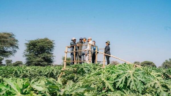 ጠቅላይ ሚኒስትር ዐቢይ አሕመድ በኦሮሚያ ክልል ምስራቅ ሸዋ ዞን የበጋ ስንዴ ሥራ አስጀመሩ - Sputnik አፍሪካ