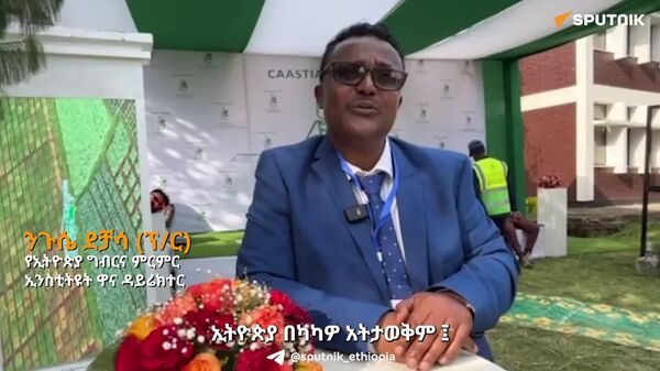 በራሳችን የካካዎ ምርት ምርጥ ቸኮሌቶችን እያመረትን ነው - የኢትዮጵያ ግብርና ምርምር ኢንስቲትዩት - Sputnik አፍሪካ