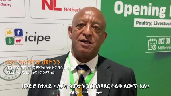 ከእንስሳት እና የእንስሳት ተዋጽኦ ወጪ ንግድ ከፍተኛ የውጭ ምንዛሬ ተገኝቷል - ግብርና ሚኒስቴር - Sputnik አፍሪካ