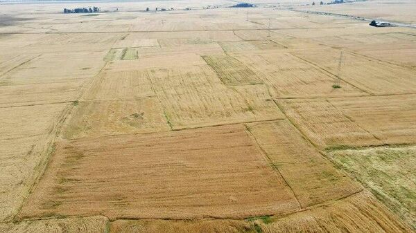 በዘንድሮው ዓመት 20 - Sputnik አፍሪካ