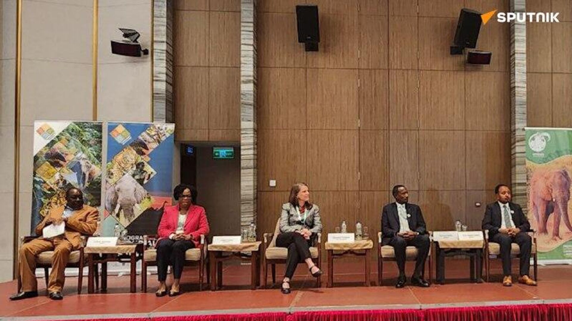 ኢትዮጵያ የደቡባዊ ዓለም አገራት የዱር እንስሳት ሀብቶቻቸውን ለመጠበቅ እና ለማስተዋወቅ በጋራ እንዲሠሩ ጥሪ አቀረበች ኢትዮጵያ የደቡባዊ ዓለም አገራት የዱር እንስሳት ሀብቶቻቸውን ለመጠበቅ እና ለማስተዋወቅ በጋራ እንዲሠሩ ጥሪ አቀረበች - Sputnik አፍሪካ, 1920, 03.11.2025