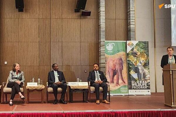 ኢትዮጵያ የደቡባዊ ዓለም አገራት የዱር እንስሳት ሀብቶቻቸውን ለመጠበቅ እና ለማስተዋወቅ በጋራ እንዲሠሩ ጥሪ አቀረበች ኢትዮጵያ የደቡባዊ ዓለም አገራት የዱር እንስሳት ሀብቶቻቸውን ለመጠበቅ እና ለማስተዋወቅ በጋራ እንዲሠሩ ጥሪ አቀረበች - Sputnik አፍሪካ