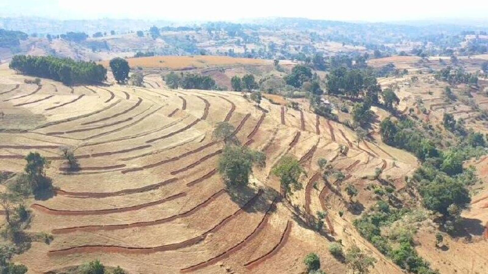 በ2018 በ4 ሚሊዮን ሄክታር መሬት ላይ የተፈጥሮ ሀብት ጥበቃ ለመሥራት መታቀዱ ተዘገበ በ2018 በ4 ሚሊዮን ሄክታር መሬት ላይ የተፈጥሮ ሀብት ጥበቃ ለመሥራት መታቀዱ ተዘገበ - Sputnik አፍሪካ, 1920, 03.11.2025