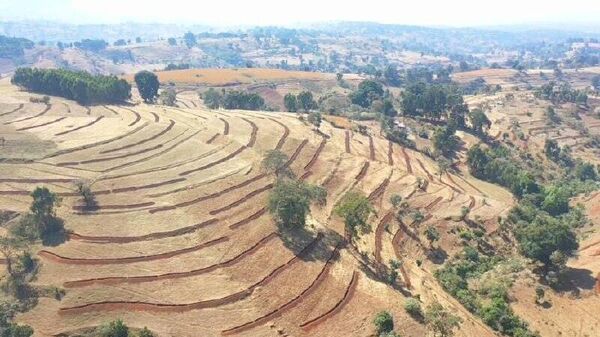 በ2018 በ4 ሚሊዮን ሄክታር መሬት ላይ የተፈጥሮ ሀብት ጥበቃ ለመሥራት መታቀዱ ተዘገበ - Sputnik አፍሪካ