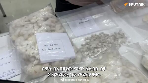 ኢትዮጵያ የጥጥ ምርት አቅሟን 3 በመቶ ብቻ ነው የተጠቀመችው - የኢትዮጵያ ጥጥ ማኅበር ዋና ዳይሬክተር - Sputnik አፍሪካ