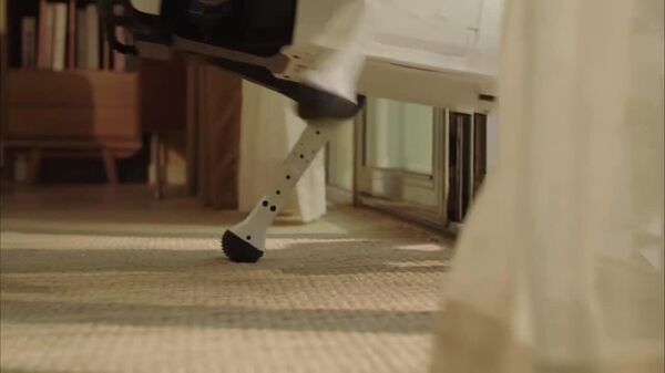 #viral | ውሻ ከጠባቂነት ወደ አገልጋይነት - Sputnik አፍሪካ