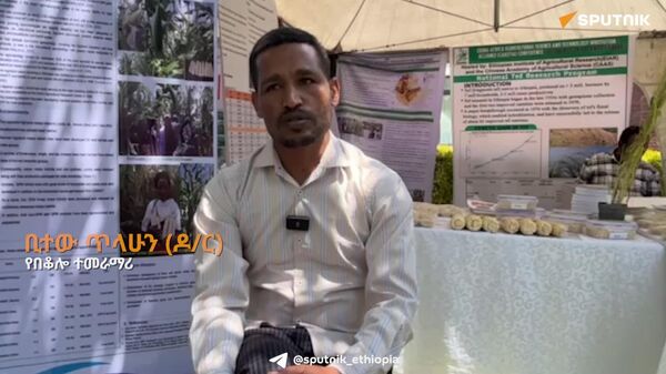 ምርታማነትን የሚያሳድጉ የተሻሻሉ የበቆሎ ዝርያዎችን ለአርሶ አደሩ እያቀረብን ነው - ብሔራዊ የበቆሎ ምርምር ተቋም - Sputnik አፍሪካ