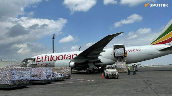 ኢትዮጵያ በአፍሪካ ነጻ የንግድ ቀጣና ስር የታሪፍ ቅነሳ የሚደረግላቸው ሀገራትን ዝርዝር ይፋ አደረገች - Sputnik አፍሪካ